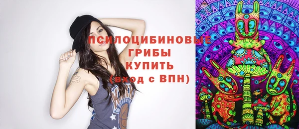 дмт Абаза