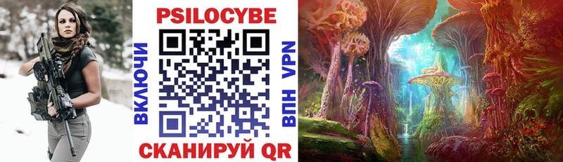 Псилоцибиновые грибы Psilocybe  Новое Девяткино 